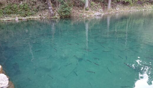 管理釣り場のススメ。【ルアー編】「トップウォータープラグ」